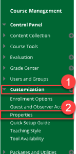 customization menu in blackboard course control panel