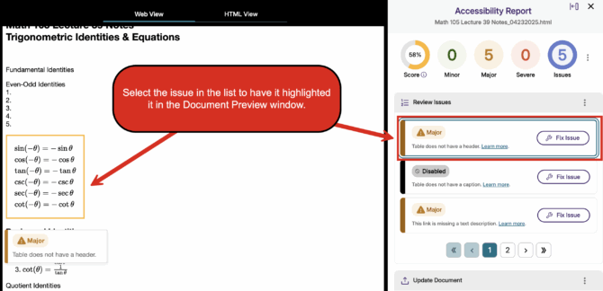 Document Preview window in the accessibility report