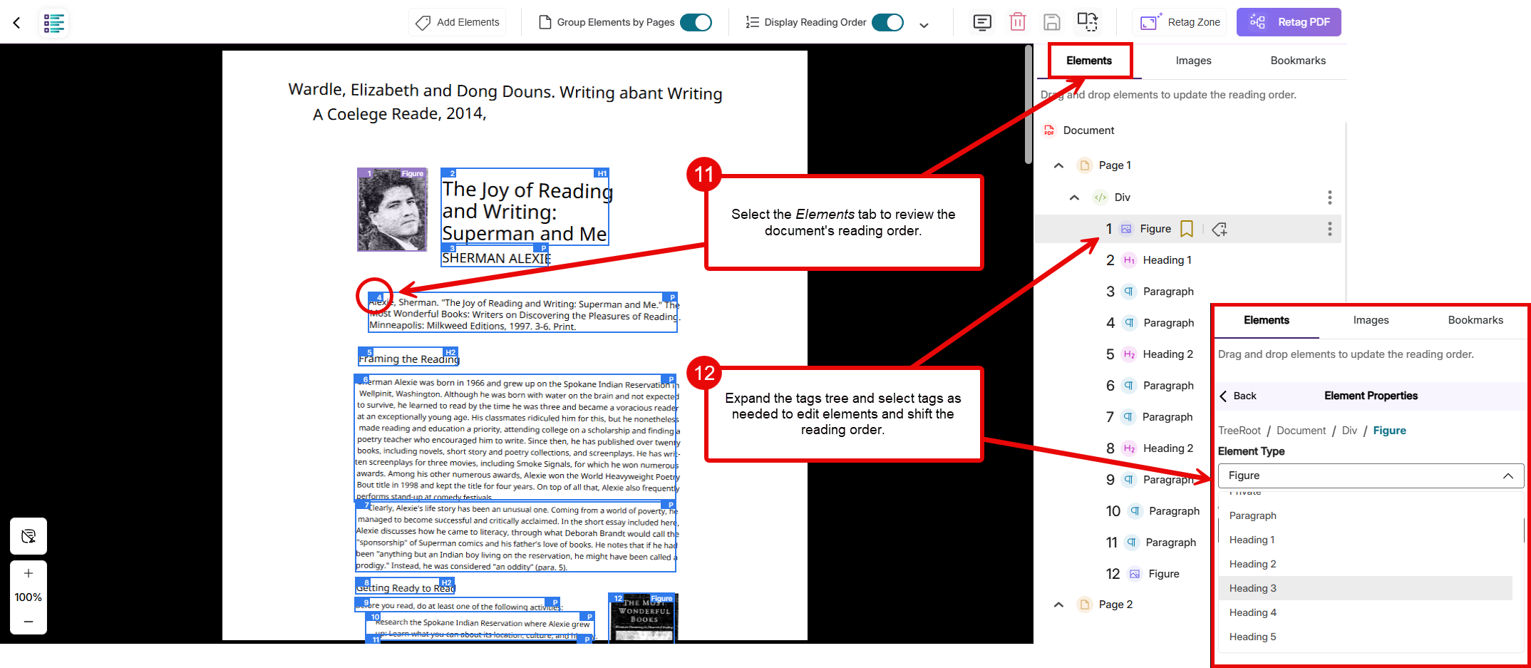 select the Elements tab to review and adjust any misidentified tags and/or the reading order 
