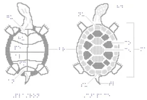 Tactile graphic image file showing a diagram of a turtle.